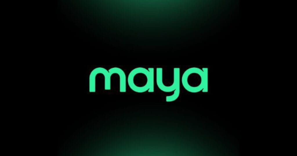 Rollem88 Casino Payment Options: Maya
